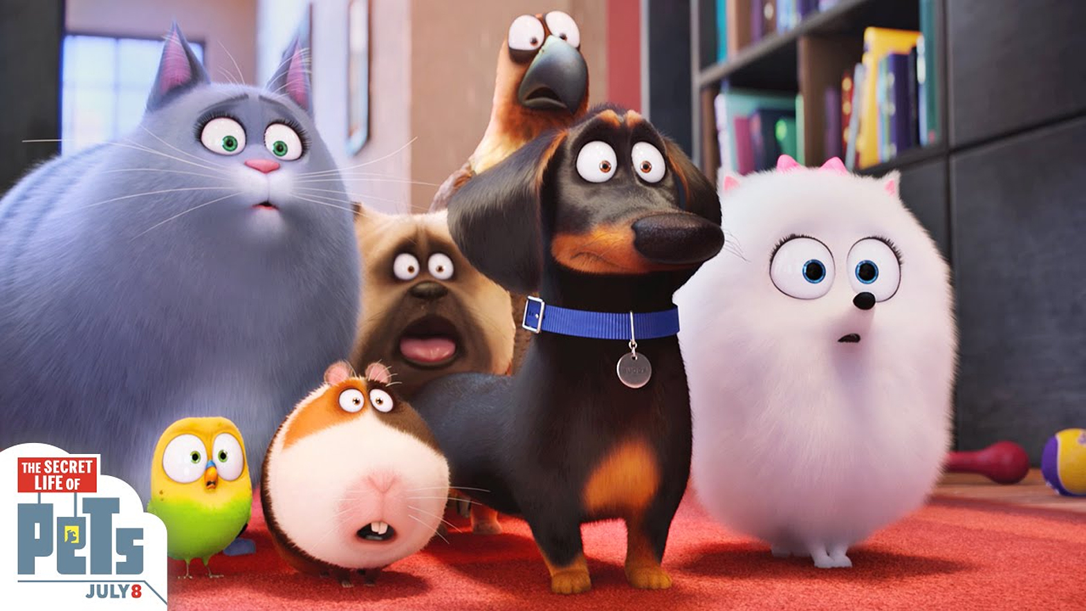 Blog The Secret Life Of Pets Ce Animal De Companie Ti Se