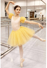 Set Body Spandex Auriu si Tutu  11032505